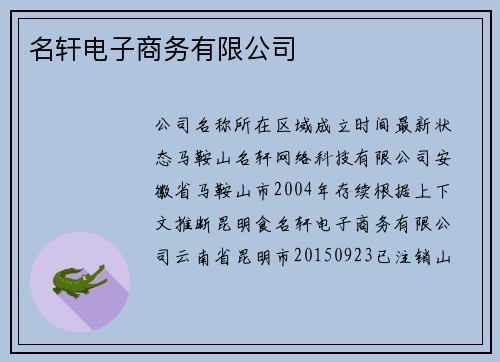 名轩电子商务有限公司