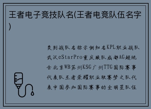 王者电子竞技队名(王者电竞队伍名字)